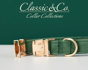 Forest Veet – collier personnalisé pour chien, ensemble laisse et nœud papillon, gravure personnalisée du nom de l'animal, boucle en métal, cadeau d'anniversaire pour chiot, livraison gratuite - Product Image 5