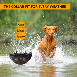 <span class=keywords><strong>Collar</strong></span> antiladridos de venta directa de fábrica con certificación <span class=keywords><strong>CE</strong></span>/<span class=keywords><strong>Rohs</strong></span>/FCC, productos para mascotas, los más vendidos, collares automáticos con tapón de ladridos - Product Image 6