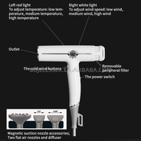 BLDDC Moteur Pliable Smart Sèche-Cheveux Concentrateur Diffuseur Matériel Caractéristiques Technologie Ionique Haute Vitesse Ion Plastique 200000 RPM