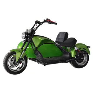 China Factory Price 2000W Electric Tricycles Three Wheel 60V for Adult Cargo Scooter Motorcycle