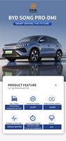 2026 BYD Song Pro DM DM-i 133 км 100-150 кВт Батарея 30 кВт·ч Агрессивный компактный внедорожник
