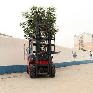 رافعة شوكية تعمل بالغاز المسال بسعة 1.5 طن و2 طن و3 طن و3.5 طن مع شهادة هيدروليكية جديدة وسارية ثنائية المرحلة بطول شوكة 1670 مم - Product Image 6