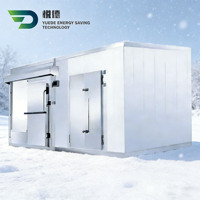Chambre froide mobile solaire de haute qualité pour poissons, avec compresseur Copeland, écologique, silencieuse, refroidisseur portable, taille personnalisable