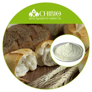 Organic Kosher Certificated Manufacturer Supply Best Quality Mushroom Chitosan for Food Additive