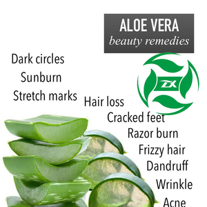 Massen preis 100% reines natürliches Aloe Vera Öl Private Label Großhandel Aloe Vera Öl für <span class=keywords><strong>Massage</strong></span> und Hautpflege - Product Image 4