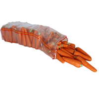 Sac en filet tissé respirant et transparent avec trous pour pommes de terre, oignons, carottes