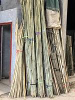 Tongkat Bambu Tonkin Kering Alami Grosir untuk Penyangga Tanaman Rumah & Kebun, Ukuran Dapat Disesuaikan 0.1-6m Panjang