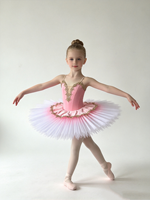 Robe de tutu de ballet rose à bretelles spaghetti pour filles, broderie dorée, jupe en tulle dégradé, costume de performance de ballet professionnel