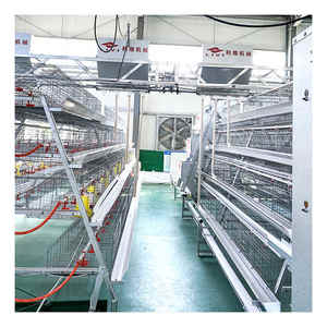 I prodotti più venduti caldaie a gabbia per batterie galline ovaiole con sistema colonia arricchita gabbia di pollo per pollame 96,120,128,160 lo strato di uccelli - Product Image 6