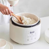 Olla Arrocera Eléctrica a Presión 2L 700W Multifunción Digital con Olla Interior Antiadherente, Función Mantener Caliente y Temporizador 220-240V