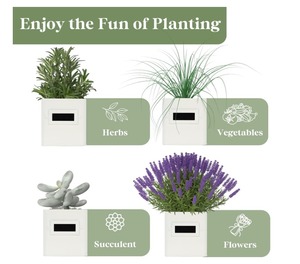Set of 3 <strong>Kitchen</strong> Windowsill <strong>Herb</strong> Pots Indoor <strong>Herb</strong> Garden <strong>Planter</strong> with Tray for Home Use Eco-Friendly Plant Fiber Customizable - Product Image 6
