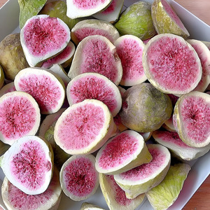 Séchoir alimentaire industriel 32 plateaux robuste pour déshydrater fruits, légumes et herbes – Séchage multifonctionnel de qualité commerciale - Product Image 2