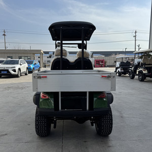 2-Seater Electric Golf Cart with Cargo <b>Box</b> - Product Image 6