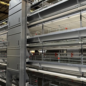 <span class=keywords><strong>Diferentes</strong></span> Tipos <span class=keywords><strong>de</strong></span> Jaulas para <span class=keywords><strong>Gallinas</strong></span> Ponedoras en Venta - Product Image 5