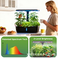 Jardin hydroponique d'intérieur pour herbes aromatiques, lampe de culture automatique 24W, pompe à eau à circulation 15 trous, kit de culture de légumes détachable pour la maison