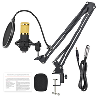 Microphone à condensateur professionnel BM800, kit complet, micro de studio filaire Type C, bras articulé, support antichoc, filtre anti-pop, éclairage RGB, carte son