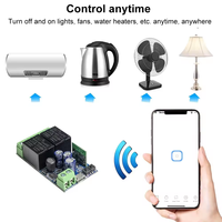 EWeLink-Interrupteur Intelligent WIFI DC 12V 24V 48V Module Récepteur Relais 2 Canaux 2.4GHz Télécommande Fonctionne avec Alexa pour Porte Led