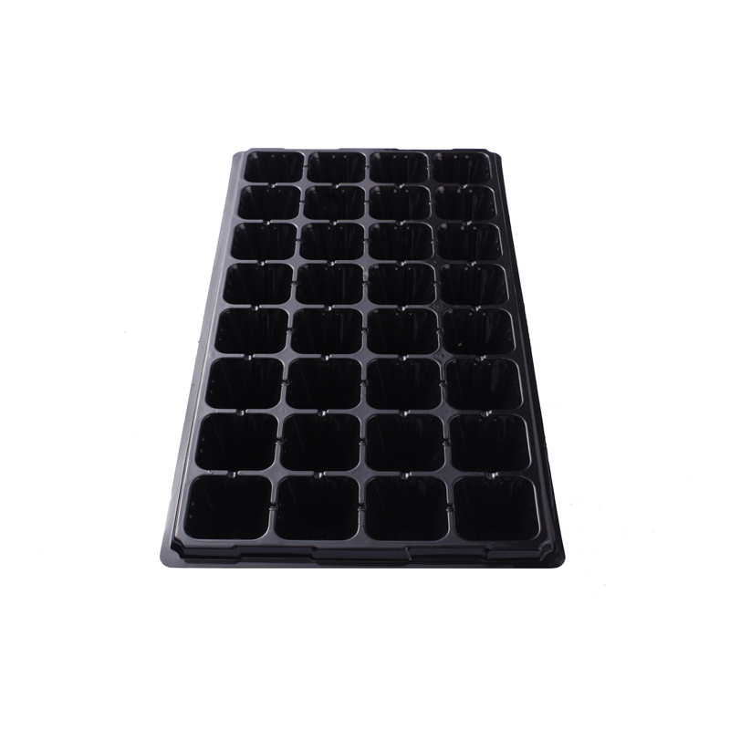 Deep Flower Vegetable Planting Growing Seed