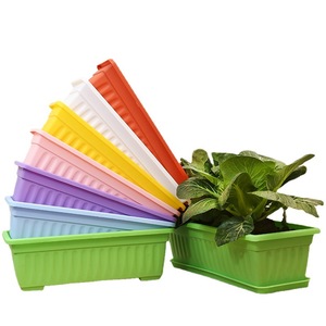 Everyday PP Plastic Rectangle <strong>Propagator</strong> Kit Drainage Hole for Home Porch Garden Patio <strong>Windowsill</strong> Eco-Friendly Durable Planting - Product Image 6