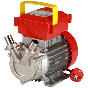 Bơ<span class=keywords><strong>m</strong></span> điện để chuyển chất lỏng 0.5 HP 2850 r. <span class=keywords><strong>p</strong></span>.<span class=keywords><strong>m</strong></span>. 1700 L/H Ø 20 mm - Product Image 1