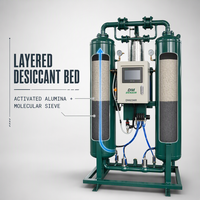 Sécheur d'air comprimé compact à déshydratant DM65MR 380V AC 50Hz DN40 Raccord 1,5 pouce pour systèmes d'air industriels