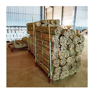 <span class=keywords><strong>2m</strong></span> 18-20mmPiquets de plantes Bâtonnets de <span class=keywords><strong>bambou</strong></span> naturel de jardin pour intérieur et extérieur pour tomates, haricots, plantes <span class=keywords><strong>en</strong></span> <span class=keywords><strong>pot</strong></span> - Product Image 6