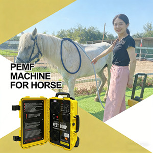 Appareil PEMF portable pour chevaux, pour améliorer la relaxation musculaire et augmenter la flexibilité et la mobilité des articulations - Product Image 1