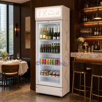 Réfrigérateur commercial pour boissons avec contrôle numérique de la température et étagères réglables pour l'affichage des boissons