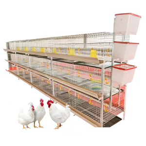 Cage de batterie de poulet automatique à 3 couches-Équipement de ferme avicole à 2 portes <span class=keywords><strong>pour</strong></span> l'élevage de poulets de chair (état neuf, meilleur prix) - Product Image 1