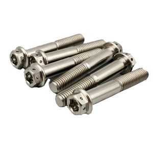 Bu Lông Và Đai Ốc Titan Ti Đúc Trung Quốc Sản Xuất Bu Lông Titan Gr5 - Product Image 4