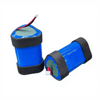 Batterie au lithium rechargeable SUNKING de qualité A, 12V 2500mAh, 500 cycles, à décharge élevée, pour pistolet de massage et gonfleur de voiture – Vente directe usine