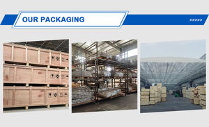 Máquina de Press de Pecho con Banco Plano para Gimnasio Comercial de Alta Gama, Entrenamiento de Fuerza con Placas para Brazos, Press Supino Sentado - Product Image 6