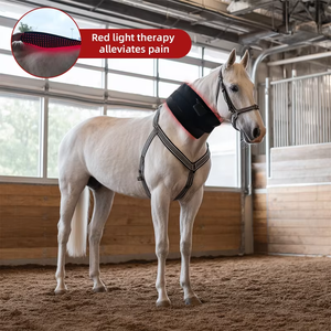 อุปกรณ์ดูแลม้าใน850nm 660nm รักษาม้าที่มีหัวเข่าม้าอินฟราเรดแสงสีแดงอุปกรณ์ดูแลม้า - Product Image 3