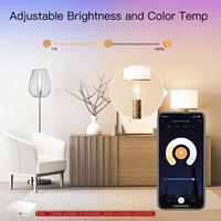 Tuya Zigbee LED Ampoule E14 Bougie Lampe Smart 5W RGBCCT 2200-6500K Dimmable Light Alexa Google Voice Control
