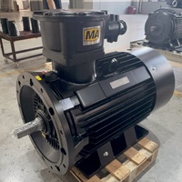Motor Eléctrico a Prueba de Explosiones para Molino de Aceite, Compresor Centrífugo AC EX, 20/22kw, Kit de Motor Bldc E PMG