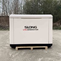 Générateur d'électricité au propane et à l'essence SLONG BRAND, silencieux, refroidi par air, 4 temps, 12V DC, démarrage électrique, pour usage domestique, 20 kW, 110/220V