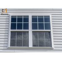 Fenêtre à double vitrage de style américain avec conception de châssis coulissant vertical, isolation thermique, volets en PVC, cadre en plastique