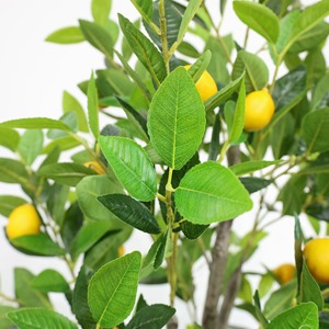 Árbol de Limón Artificial de 120 cm con Maceta, Hojas de Limón Artificiales Realistas, Plantas Artificiales de Interior para Decoración del Hogar - Product Image 4