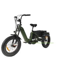 Triciclo eléctrico Oem personalizable con Motor Central de 500W, triciclo de carga con neumáticos gruesos, bicicleta eléctrica de 3 ruedas barata para adultos