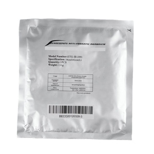 Offre Spéciale : Coussinet de Gel Froid 34*42cm 110g pour Appareil de Beauté (Membrane Cutanée) - Product Image 1