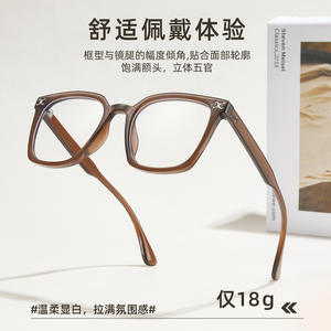 Monture de lunettes rectangulaire rétro TR anti-lumière bleue, monture complète unisexe, Danyang 27035, verres en acrylique - Product Image 4