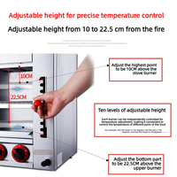 Four à salamandre infrarouge à gaz commercial 4-6-8-10 brûleurs, avec système de levage et de cuisson par le haut, pour grillades de poisson, en acier inoxydable, vente en gros, promotion