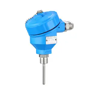 Hochtemperatur-Thermo element pt100 Temperatur sensor K-Typ gepanzerte Platin-Wärme widerstands sonde integriert Sender