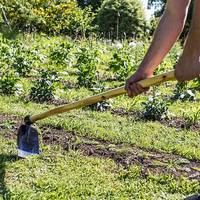 Bêche triangulaire en acier au manganèse pour l'agriculture, à bon prix, pour le désherbage du jardin, outil de jardinage pour un désherbage efficace