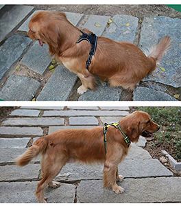 BSCI Factory Soft Front easy Dog <b>Harness</b> Best Reflective <b>No</b> <b>Pull</b> <b>Harness</b> with Handle and Two Leash Attachments private label - Product Image 4