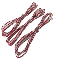Sensor RTD PT100 2-Kabel Tahan Panas yang Dapat Disesuaikan OEM/ODM untuk Penggunaan Dalam dan Luar Ruangan, Industri, dan Rumah Tangga
