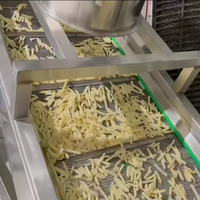 Industriële automatische productielijn voor diepvriesfrieten tegen fabrieks prijs, aardappelverwerkingsmachines te koop