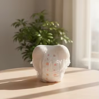 Serviettes hygiéniques féminines, serviettes hygiéniques non tissées, sous-vêtements hygiéniques, produits d'hygiène pour adultes, fabricant de culottes menstruelles pour femmes
