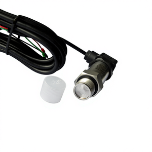 Transmissor de Pressão com Diafragma Flush Hirschmann Sensor em Aço Inoxidável IP65 TLW-308 para Indústria Alimentícia e de Leite - Product Image 1