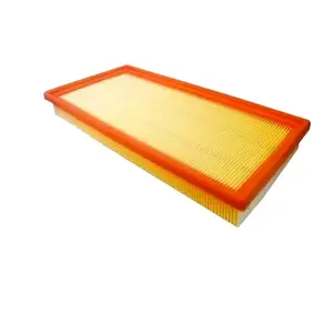 Filtro Aria PW811941 per Proton da Produttore Professionale - Product Image 1